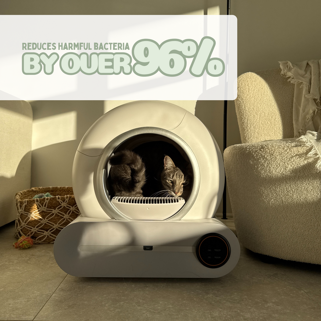 Purr-Pod™ Smart Litter Box