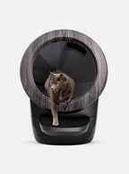 Litter-Robot 4