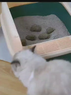 Auto-Cleaning Cat Litter Robot Box