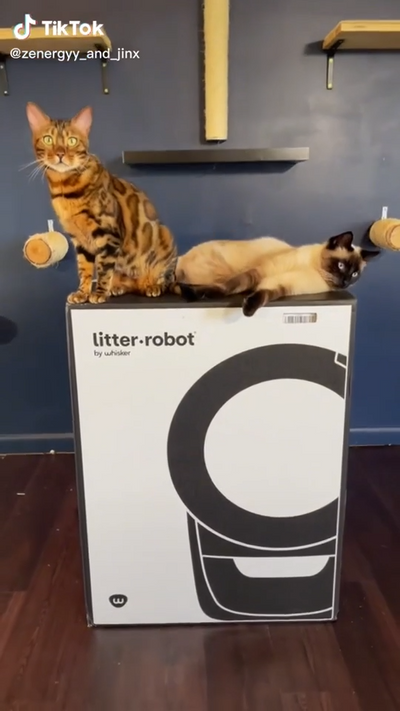 Unboxing